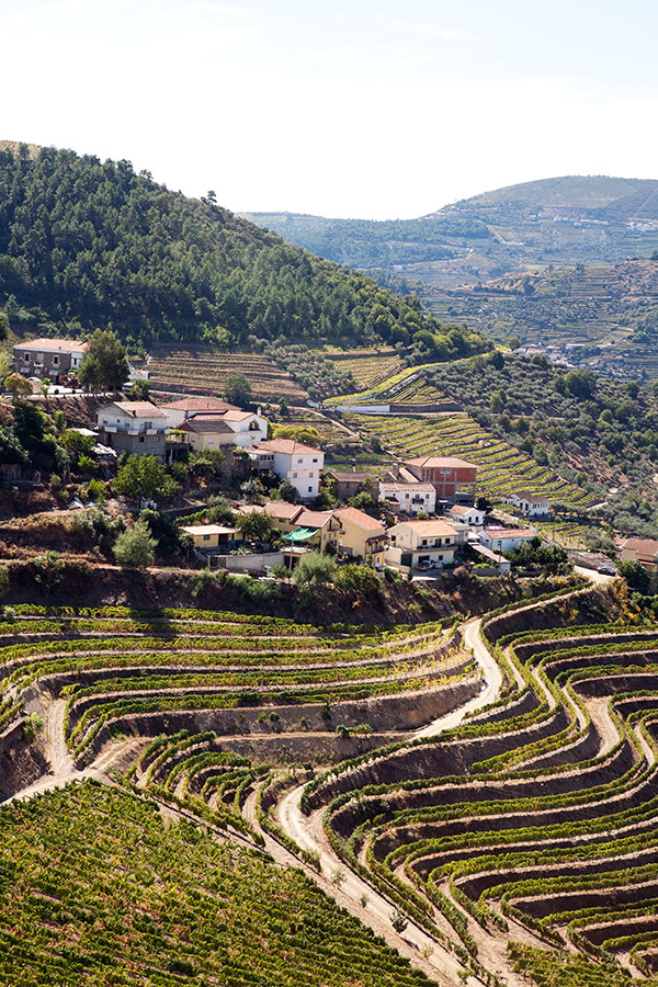 Douro – Um poema geológico. A beleza absoluta